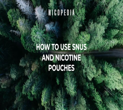 How to Use Snus & Nicotine Pouches