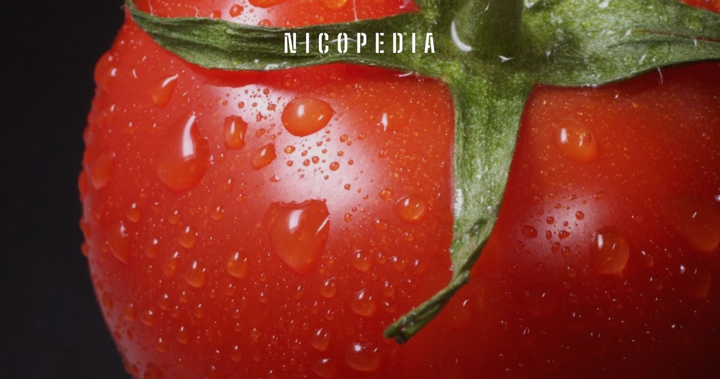 are tomatoes and tobacco related Will plants harm my tomatoes? Blurred Lines: Tomatoes, Tobacco and