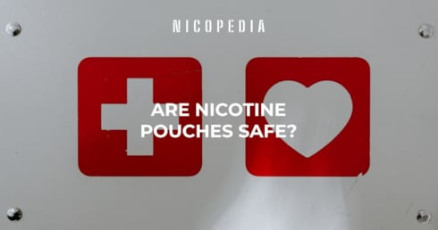 Are Nicotine Pouches Safe?