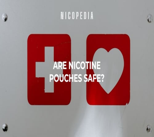 Are Nicotine Pouches Safe?