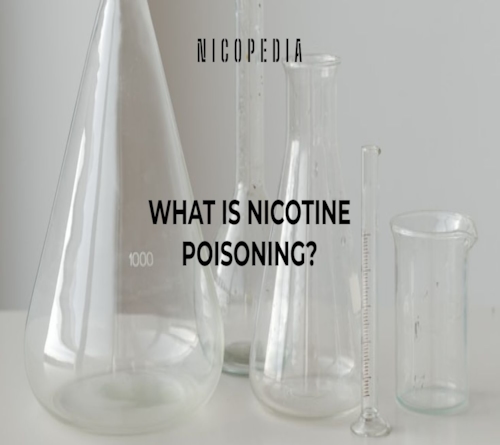 What is Nicotine Poisoning