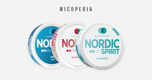 What are Nordic Spirit nicotine pouches