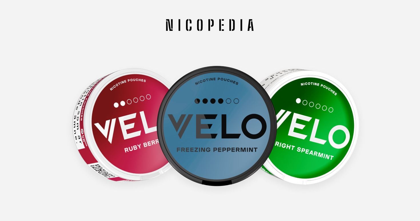 What Is VELO? An Introduction to VELO Nicotine Pouches