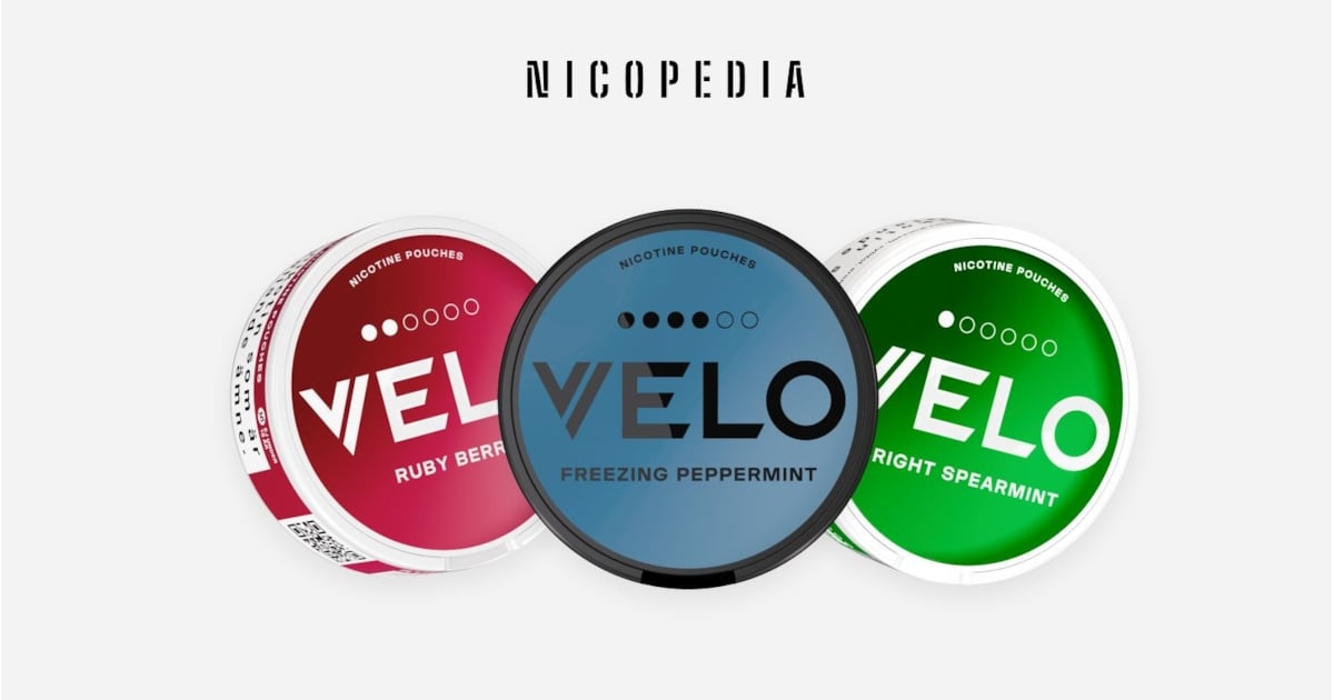 do velo pouches contain tobacco What Is VELO? An Introduction to VELO Nicotine Pouches