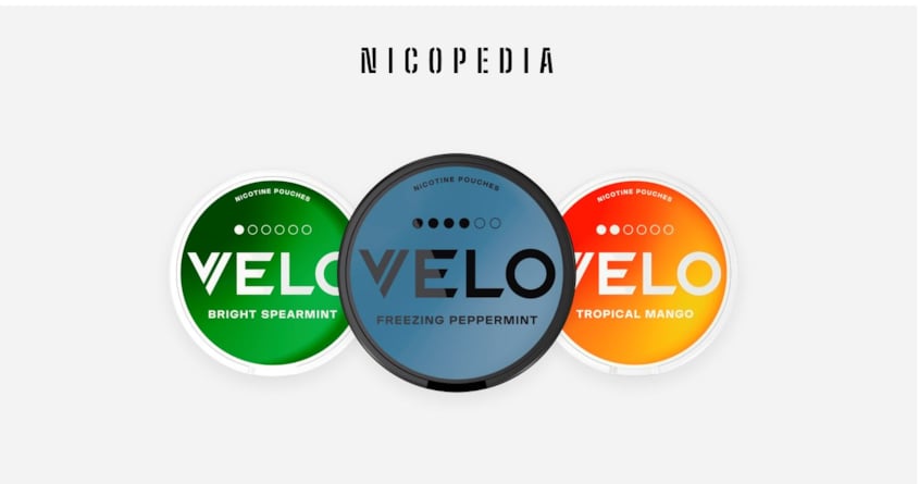 VELO Nicotine Pouches Review
