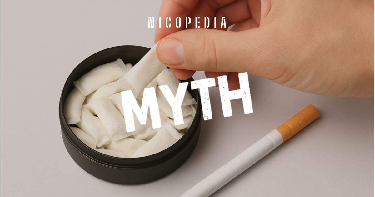 Nicotine Levels in Pouches vs Cigarettes