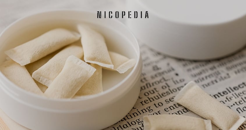 Snus & Nicotine Pouch Glossary