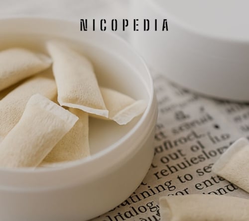Snus & Nicotine Pouch Glossary