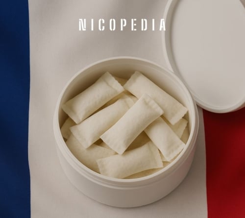 France Nicotine Pouch Ban