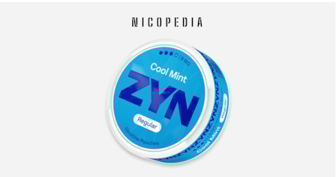 What is ZYN