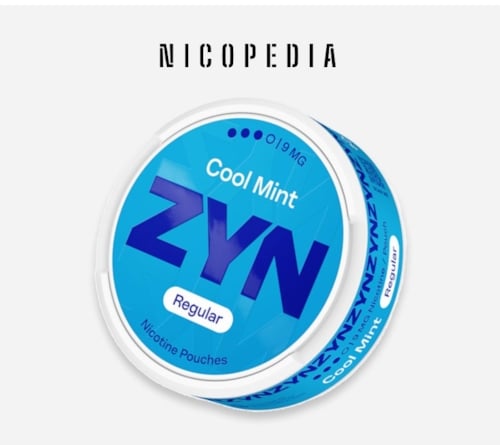 What is ZYN