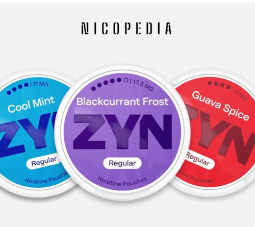 ZYN Review