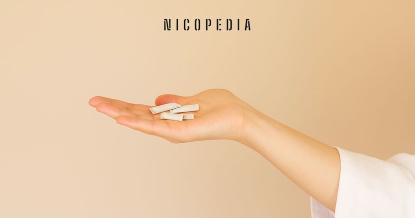 How many nicotine pouches per day