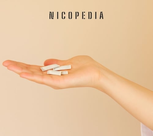How many nicotine pouches per day