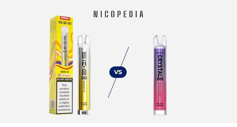 SKE Bar Disposable vs SKE Bar Pod Kit: A Comprehensive Comparison - Haypp UK