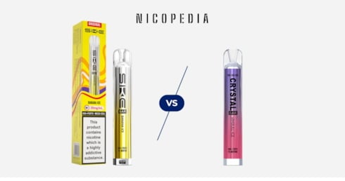 SKE Bar Disposable vs SKE Bar Pod Kit: A Comprehensive Comparison - Haypp UK