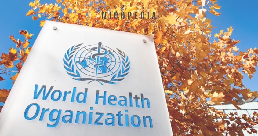 Sign of World Health Organization (WHO), against blue sky and autumn leaves