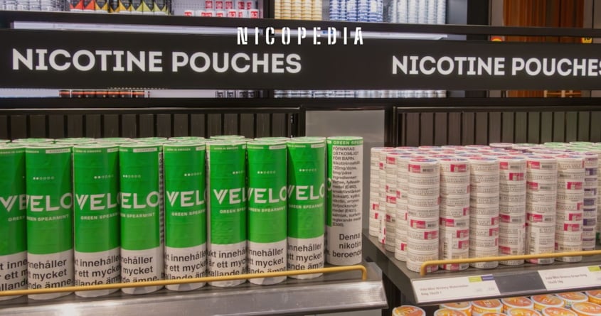 Nicotine – a hot topic in British politics: Haypp UK