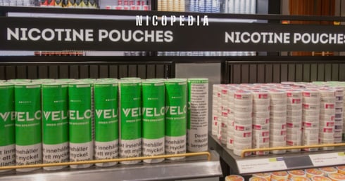 Nicotine – a hot topic in British politics: Haypp UK