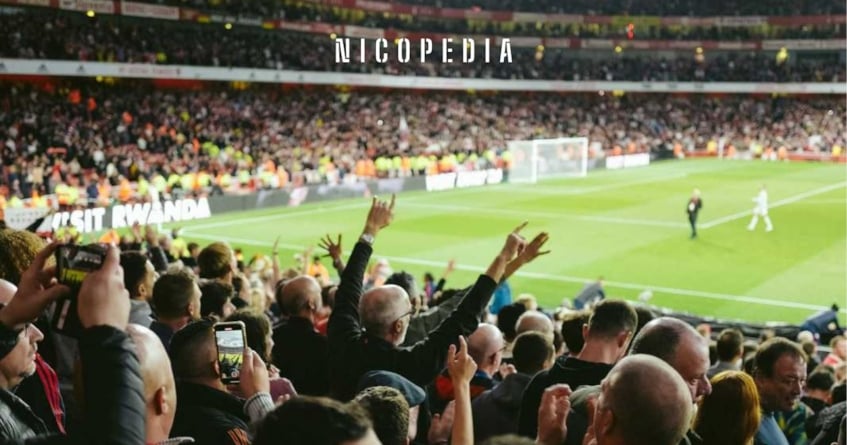 Football fans watching a match