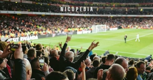 Football fans watching a match