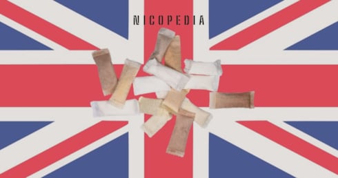 Nicotine Pouches in Great Britain - Recent Research 