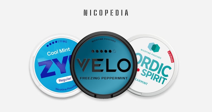 Best Nicotine Pouches in the UK 