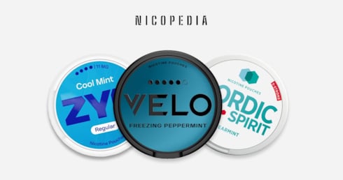 Best Nicotine Pouches in the UK 
