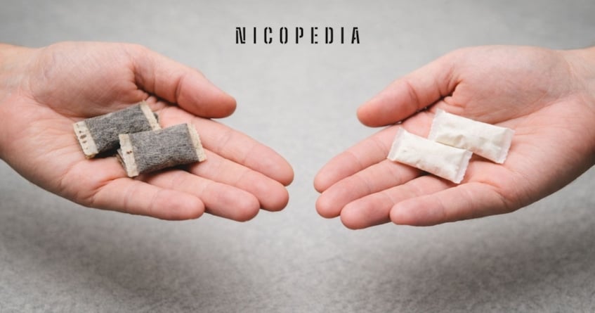 snus and nicotine pouches both presented by a pair of hands