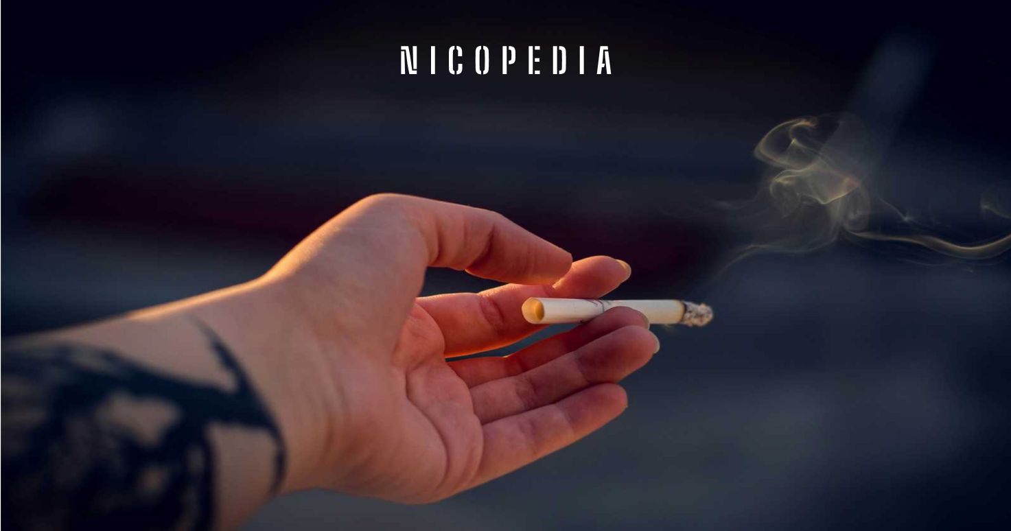 medicated cigarettes Amazon.com: Honeyrose Herbal Cigarettes 