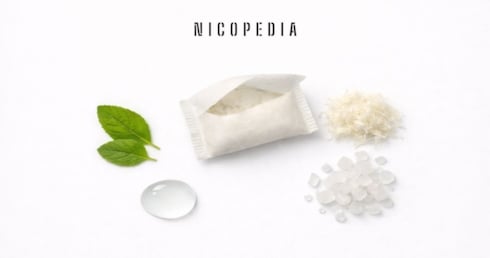 Opened nicotine pouch with ingredients surrounding it (nicotine salts, cellulose, humectant, mint)