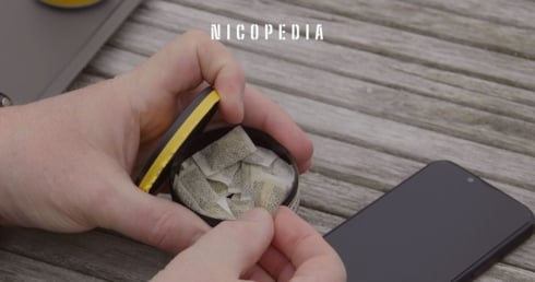 E‑numbers Uncovered – What’s Really Behind The Label In Nicotine Pouches? - Haypp UK