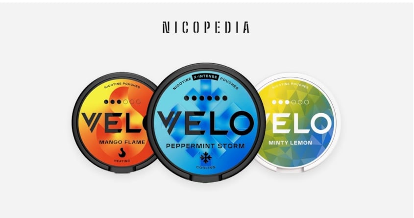 how to use velo nicotine pouches
