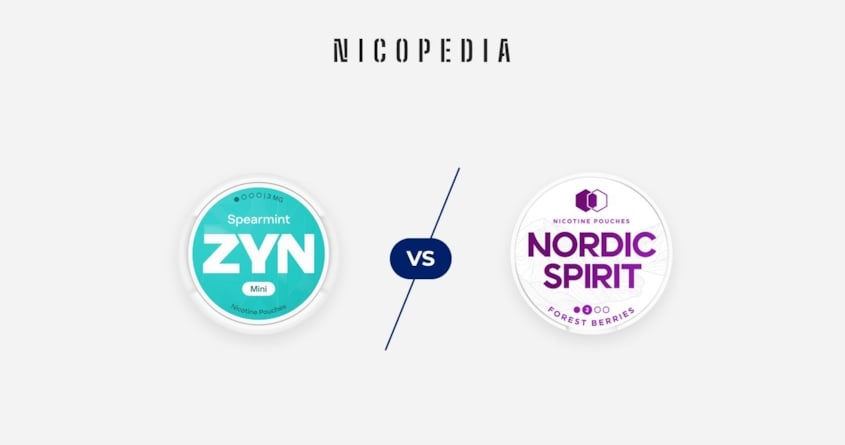 ZYN vs Nordic Spirit differences explained