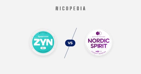 ZYN vs Nordic Spirit differences explained