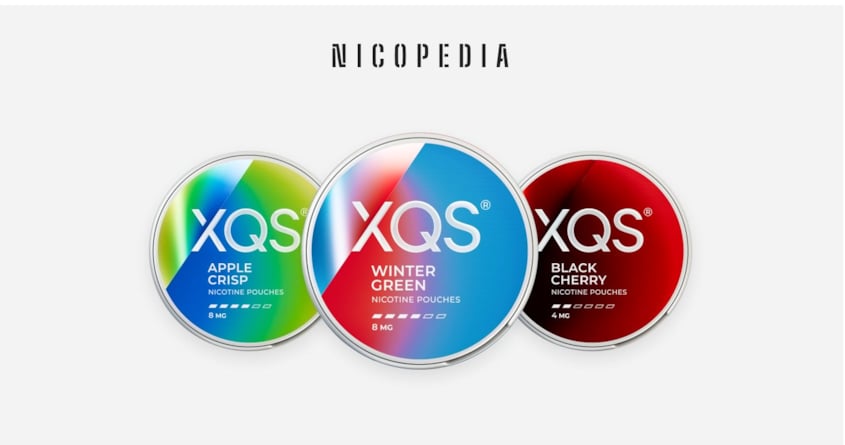 XQS Nicotine Pouches Review - Haypp UK