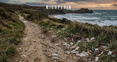 How Long For Nicotine Pouches to Decompose