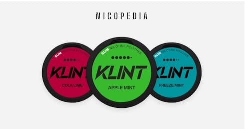 Klint Nicotine Pouches Review 2026 | Pros & Cons | Haypp UK
