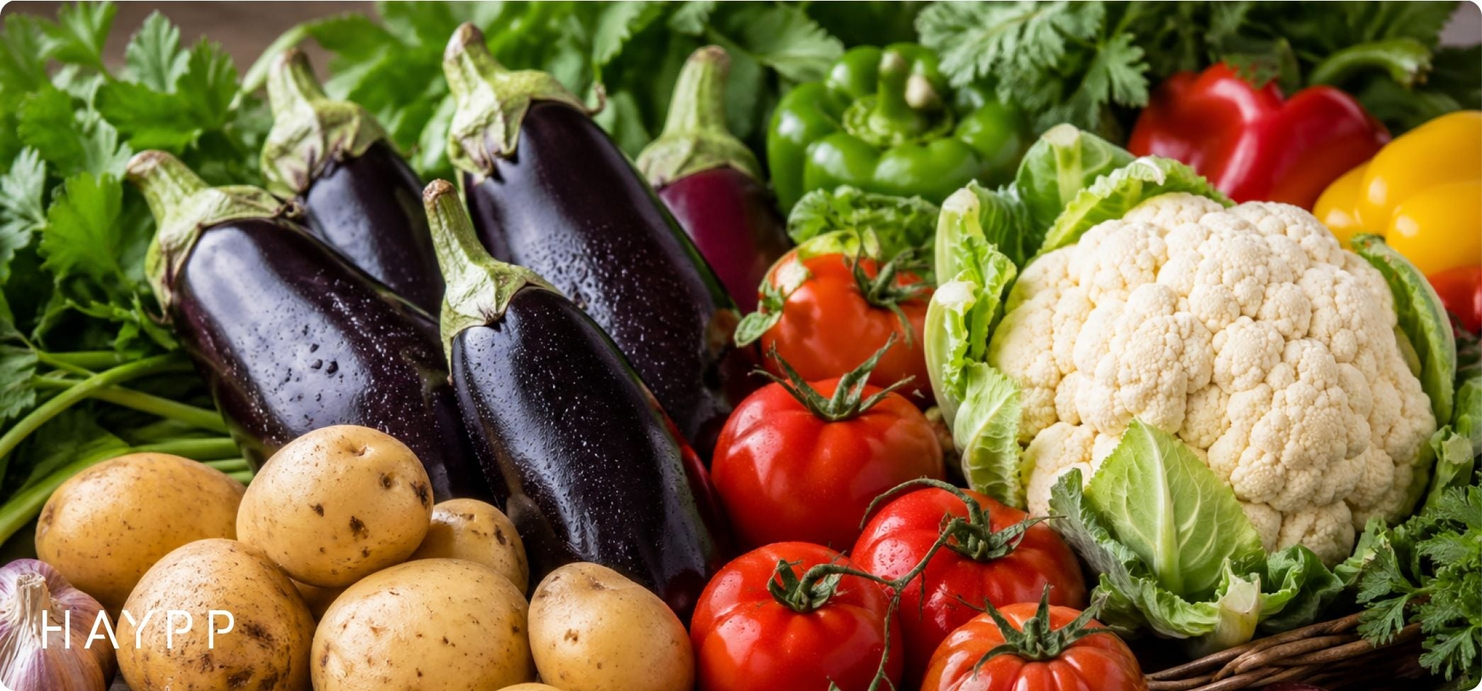 Aubergines, potatoes, tomatoes, cauliflower, and other vegetables laid out