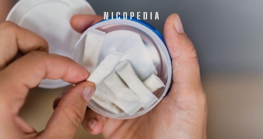 Does Snus Expire? Shelf Life & Storage Tips | Haypp UK
