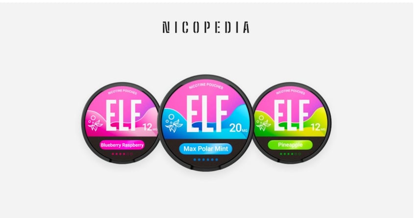 Elf Nicotine Pouches Review 2026 | ⭐Pros & Cons