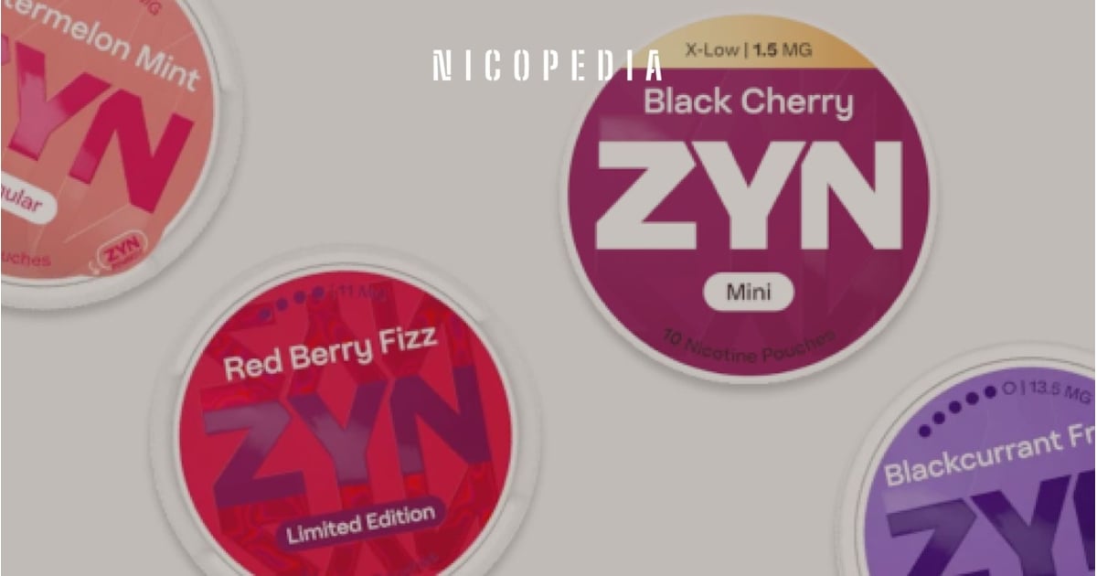 How to Use ZYN Pouches | Step-by-Step Guide for Beginners - Haypp