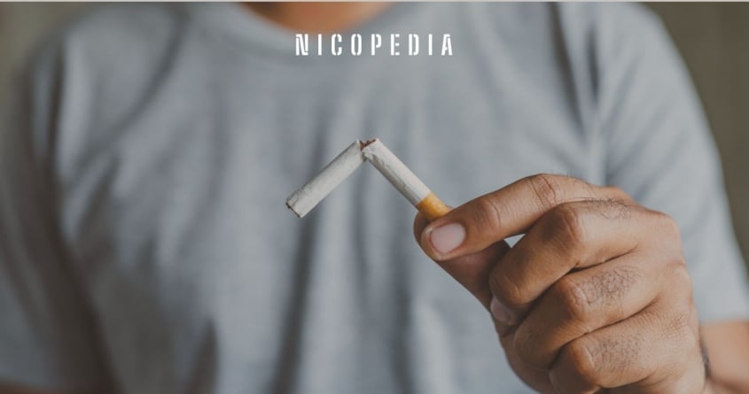 Former WHO Experts Urge UK to Rethink Smoking Policy - Haypp UK
