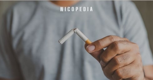 Former WHO Experts Urge UK to Rethink Smoking Policy - Haypp UK