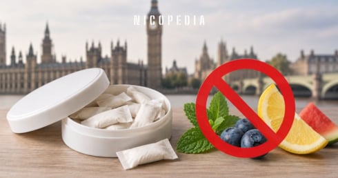 Nearly Three-Quarters of Pouch Users Oppose Flavour Ban