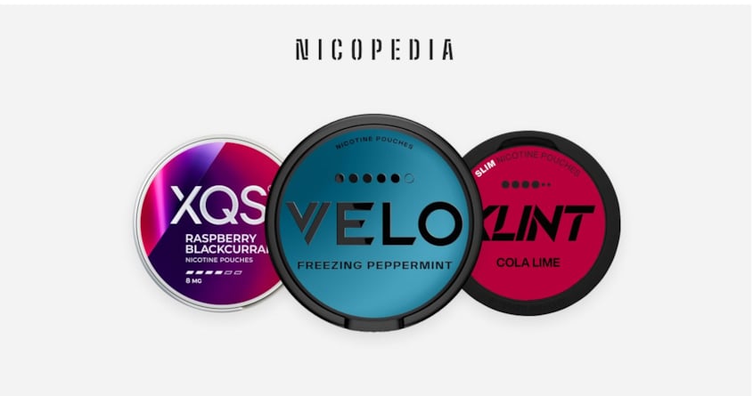 Best Nicotine Pouch Flavours in the UK