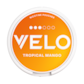Velo Tropical Mango 10mg