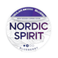 Nordic Spirit Blueberry Regular