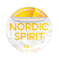 Nordic Spirit Melon Fresh Regular