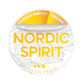 Nordic Spirit Melon Fresh Strong